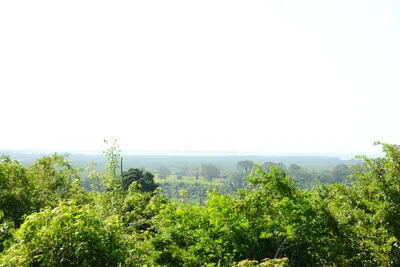 DSC_8302 (Large).JPG